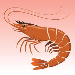 Red Shrimp or Prawn Vector Illustration 
