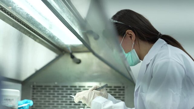 A histotechnologist performs gross examination, carefully measuring and dissecting a surgical tissue specimen. This is the critical first step before tissue processing and paraffin embedding.