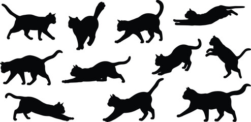 Black cat silhouettes, feline poses, walking, jumping, stretching, crouching, running cats, animal motion, pet behavior, vector illustration, isolated background