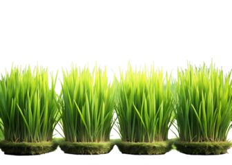 Close up of a caucasian hand giving a thumbs up gesture against a solid black background