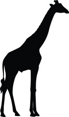 Elegant Giraffe Silhouette Vector &ndash; Minimalist Side View, Geometric Wildlife Icon, High-Contrast Modern Vector Art