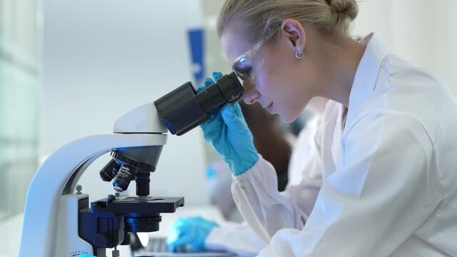 A pathologist in a hospital lab examines a stained tissue specimen under a microscope, identifying cellular abnormalities to provide a definitive diagnosis for a patient's condition.