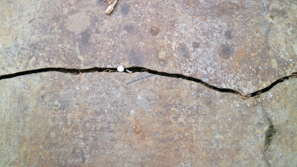 Cracked Concrete Surface Close Up