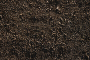 Fertile loam soil suitable for planting, soil texture background.
