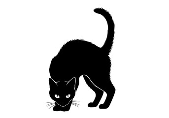 Black cat crouching, isolated on white background