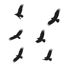 Obraz premium Silhouettes of flying birds in black vector style symbolizing freedom and nature