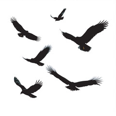 Obraz premium Silhouettes of flying birds in various poses with wings spread symbolizing wildlife and freedom