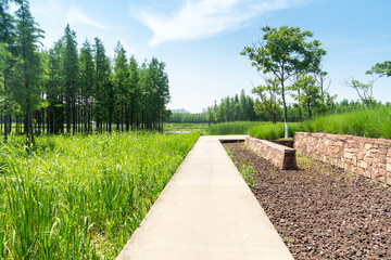 The road of City Park in China
