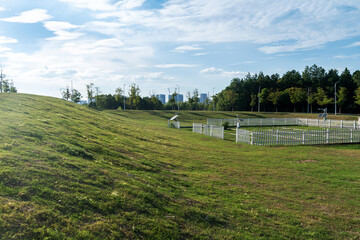 Fototapeta premium spring park and modern city