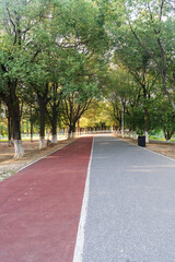 New pathway and beautiful trees track for running or walking and cycling relax in the park