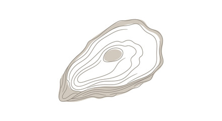 Stylized illustration of an oyster shell with concentric lines on a white background.