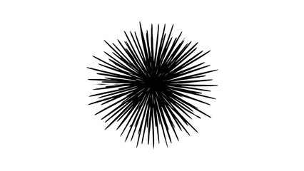 Fototapeta premium A unique and detailed illustration of a sea urchin with numerous spiky spines. The image captures the intricate beauty and spiky form of this marine creature.