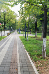 walkway in the modern city
