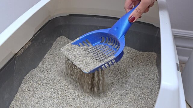Cat litter cleaning process in three sequential frames, showcasing the action of scooping and maintaining a tidy litter box environment