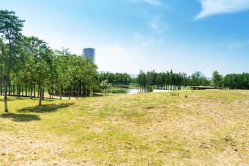 spring park and modern city