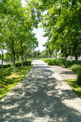 The road of City Park in China