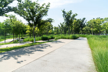 spring park and modern city
