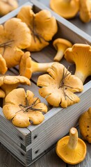 Golden Chanterelle Mushrooms in a Wooden Crate - A Culinary Delight.