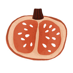 Half Pumpkin Illustration - Orange Autumn Vegetable PNG with Transparent Background