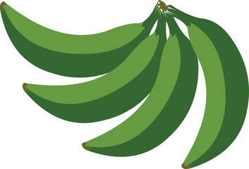 Raw green bananas.eps