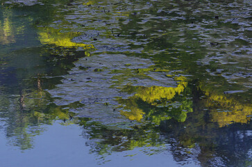 地底からふつふつと湧き出る源泉。まるで地球の奥底を覗いているような不思議な気持ちになった。不安と神秘が頭の中で交差する。あるいは地獄絵か？　うめき声が聞こえてくる。混沌とした世の中、地球温暖化という重大な危機を迎え、この母なる地球が、今、悲鳴を上げている。地球からあらゆる資源を取り上げ、奪ってきた人間・ホモサピエンス。今、私たちは何をなすべきか、できることは何か。
