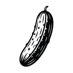 Hand drawn illustration of a fresh cucumber in black and white