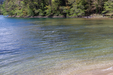 奥日光の秋は美しく優しい。色づき始めた山々に包まれた静かな秋の湖。澄みきった空気に包まれて、今は至福のひと時。木々は輝き、水は穏やかに、足元では落ち葉がカサコソと語りかけて来る。どこからか囀りが聞こえてくる。ゆっくりと湖畔歩く。時折、苔の生えた倒木に腰をおろして深々と深呼吸。里山のやさしさ、暖かさは、私の心を癒してくれる。いつまでも此処に留まっていたい気持ちに駆られる。