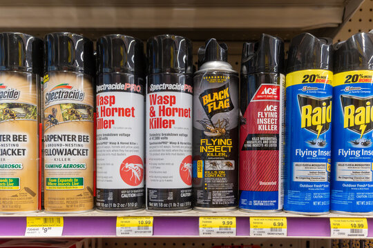 Davis, CA, USA. 23 August 2025. Assorted cans of insecticide sprays and bug repellents displayed on a supermarket shelf.