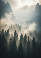 Misty Forest Landscape - Majestic Mountains and Evergreen Trees.
