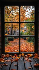 The view outside the window of falling leaves