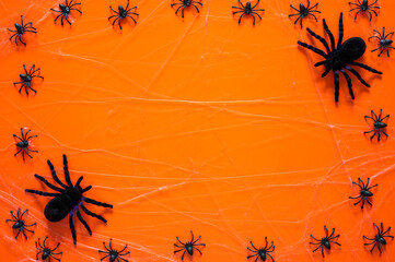 Halloween background with big and small spiders on cobweb on orange background. Minimal concept.