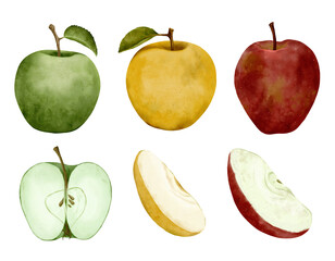 A Wide Variety of Colorful Apples Whole Apples and Sliced Apples for Every Occasion