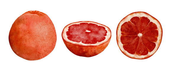 Explore the Vibrant Grapefruit Collection A Complete Whole and Detailed Sliced View