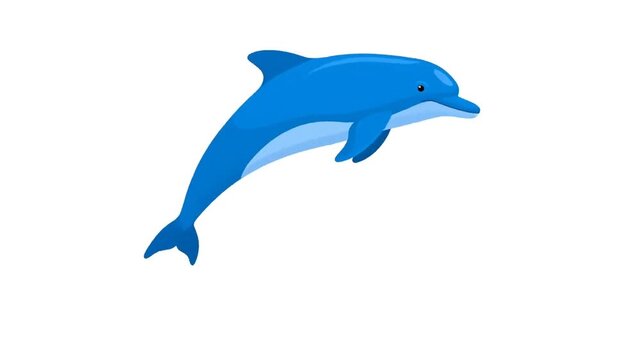 Energetic Blue Dolphin Leaping and Splashing from Water on a Bright White Background