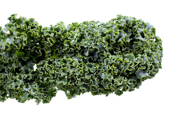 Fresh curly kale leaves with textured green surface.