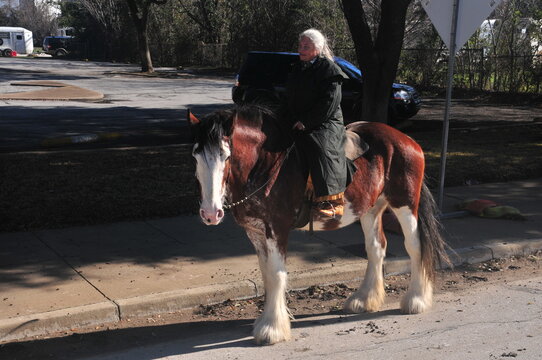 woman riding a Clydesdale horse draft horse