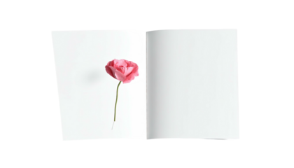 Open book with pink flower on left, blank pages on white background