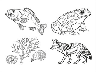 coloring page line art the animal black vector bundle