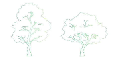 Basic Tree Sketch with Few Leaves and Simple Trunk Design for Educational Materials Art