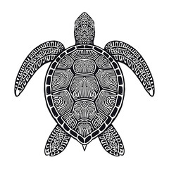 Fototapeta premium Tortoise Vector – Slow and Steady Animal Illustration
