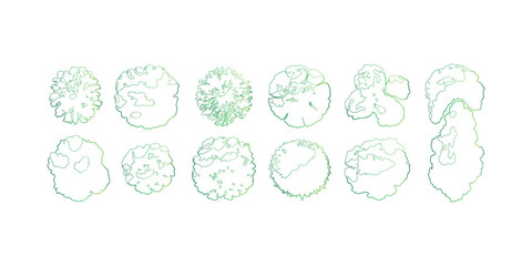 Landscape Architecture Greenery Plan Top View Trees Arrangement Isolated on White Backdrop