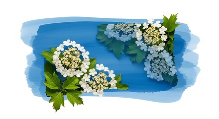 Viburnum Flowers on Blue Watercolor Splash - Floral Beauty.