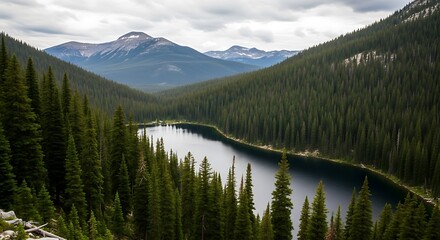 Scenic Mountain Lake Surrounded by Evergreen Forest in the Wilderness.