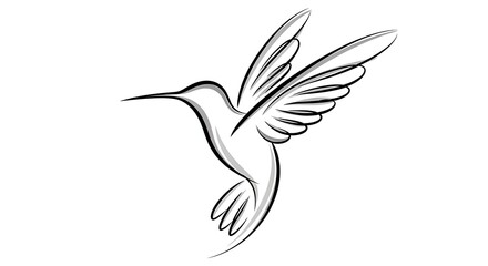 Fototapeta premium Hummingbird illustration in black and white isolated on white background