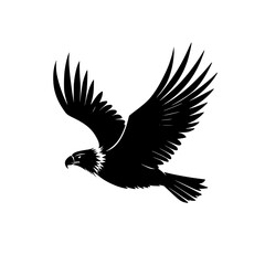 Obraz premium Silhouette Soaring Bird Flight