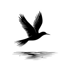 Obraz premium Silhouette Flying Bird Over Calm Water