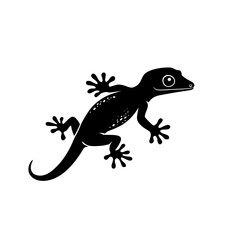 Naklejka premium Silhouette Gecko White Background