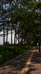 Yellow Tactile Paving Path on City Sidewalk