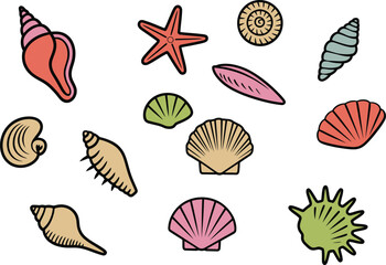 Colorful seashell collection brings coastal charm to your creative projects today