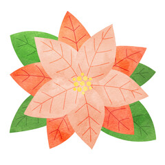 クリスマスに使えるポインセチアの水彩イラスト ピンク 葉っぱ付き